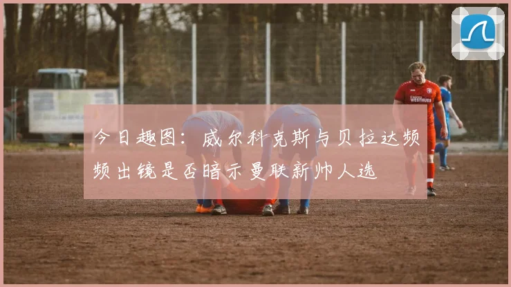 今日趣图：威尔科克斯与贝拉达频频出镜是否暗示曼联新帅人选