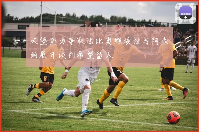 汉堡全力争取法比奥维埃拉与阿森纳展开谈判希望留人